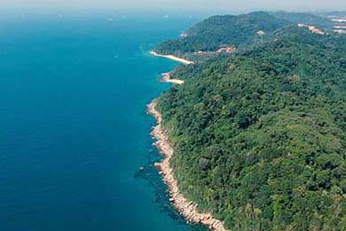 夢(mèng)幻西游新開(kāi)sf